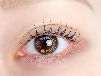 アイラッシュ リノア(LiNoa)/まつげパーマ