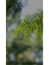 ニフ 吉祥寺(nifu)/奈良の吉野町の檜を使用