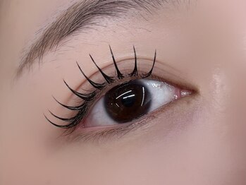 インザピンクリリー(in the pink LILY)/フラットラッシュ80本