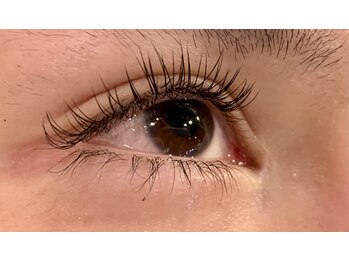 レミア 関内(REMIA)/３月　フラットラッシュ