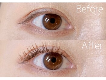 リム(Lim)/ブラウンフラットラッシュ120本