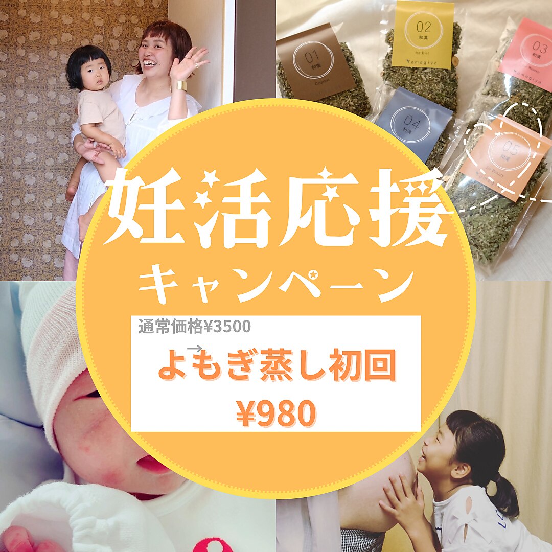 Qoo10] よもぎ蒸し 黄土 よもぎ蒸しセット 家庭
