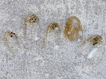 ネイルサロン エムズ(Nail Salon M's)/ラメとマグネットで冬ネイル