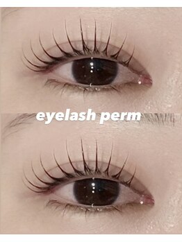 シーン スタジオ 川崎店(SSIN STUDIO)/eyelash perm
