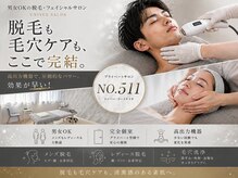 ナンバー511(No.511)