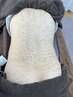【症状が多い方】ルート鍼 90分 ￥21000→￥19000