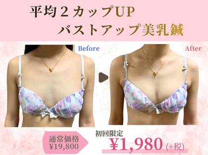 ハリスタ 西宮院(HARISTA)の写真