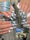 ソラネイルスタジオ 新大久保(SORA Nail Studio)の写真/【新大久保駅4分】好立地で通いやすさ抜群☆話題のワンホン・韓国ネイルや美しい長さ出しを高技術で♪