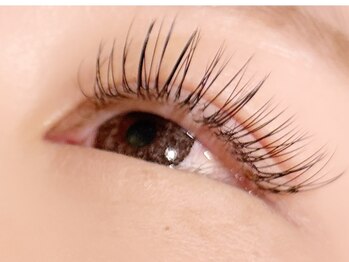 クロエ(Chloe)/フラットラッシュ/つけ放題