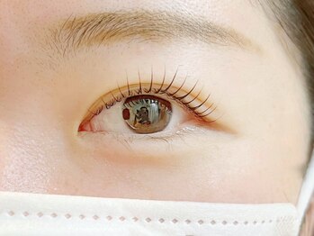 プレジール(Plaisir)/まつげパーマ