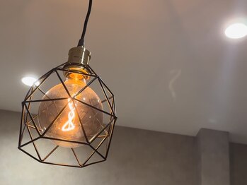 ルーツリー(Rootree)/