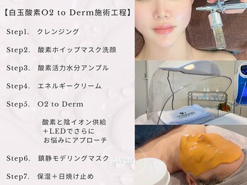 スワン 大阪南堀江(swan)/白玉酸素O2toDerm/回復栄養ケア