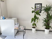 シャイン 佐賀店(SHINE)/店内風景　カウンター