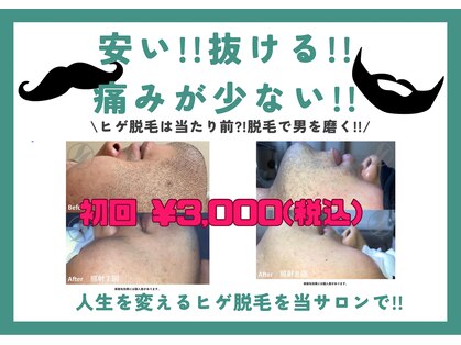 ケイナイン(K-NINE)の写真