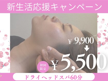 シェリア(Sherien)の写真