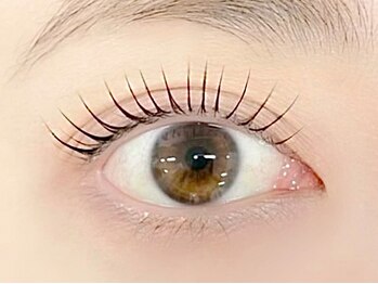 アリス トウキョウ 札幌店(alice tokyo)/まつげパーマ,ぱっちり立ち上げ!