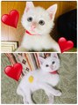 コチャメ ネイル アトリエ(Cochame nail atelier)&nbsp;実家の新入り★雨の日の竹藪で拾われた、世にも幸運な坊やです！