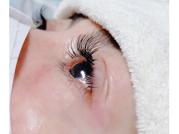 ナップ(Napp)/フラットラッシュCカール180本