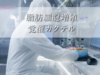 サラエクセレント 心斎橋(SARA EXCELLENT)/バストアップ/バストケア/心斎橋