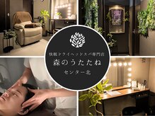 森のうたたね センター北店