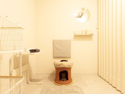 フェミー(FEMY)の写真