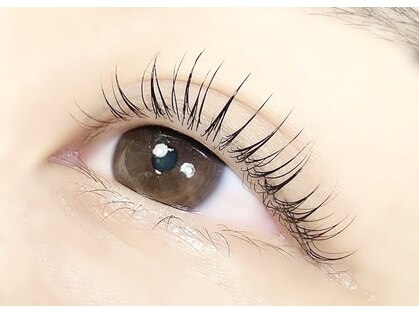 モールアイラッシュ(MOOL eyelash)の写真