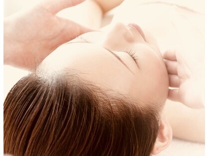 デタント(D’tente)の写真