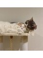 ラヴィズム アイラッシュ アンド ネイル (LUVISM)&nbsp;ねこ飼ってます♪