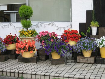 ともさか整体院/＃鴻池新田肩こり＃鴻池新田腰痛