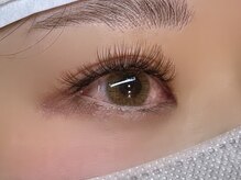 フリー#240(Free#240)/ボリューム360本　ブラウン