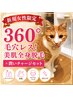 【新規女性】360°毛穴レス！美肌全身脱毛+潤うオプション¥30200→￥16800
