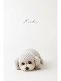 カシェット(Cachette) 愛犬きき!AIであみぐるみ風にーかわいい♪