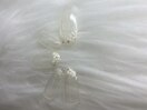 【春ネイル】お花ネイル