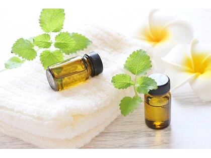 スノー ハンド(Snow Hand)の写真