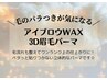 再)メンズ眉毛ワックスパーマ［アイブロウワックス/眉毛WAX/産毛/うぶ毛/栄