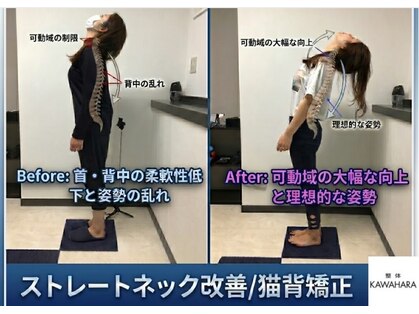 整体カワハラ(KAWAHARA)の写真