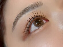 サクラリリー(Sakura Lily)