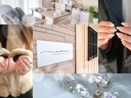 ネリネ(NERINE)の写真