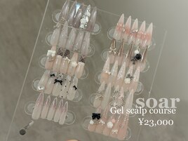 soar ジェルスカルプコース