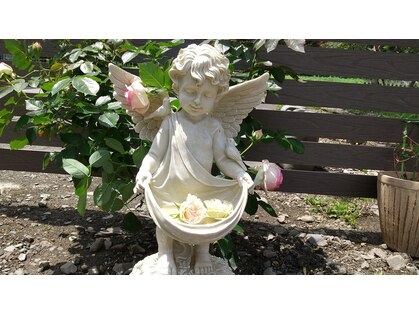 コカゲ(Kokage)の写真