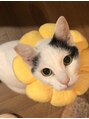 ユーセン 三宮店(YU-SEN)&nbsp;愛猫2