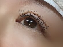 フリー#240(Free#240)/フラットラッシュ140本