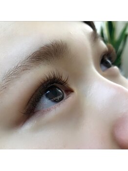 ラヴァンヤ 熊谷店(Lavanya)/3Dフェザー ブラウンカラー120束