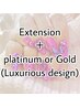 Extension ＋ Luxurious design