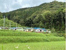 ネイルサロンさくら