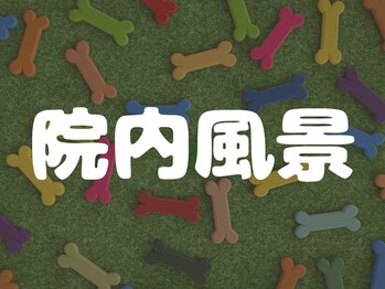 穴川駅前整骨院鍼灸院/~院内風景~