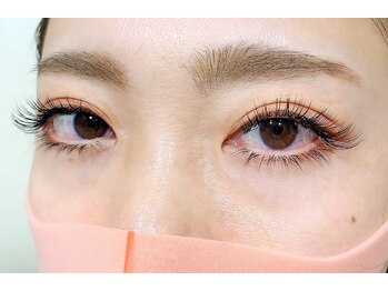 ルピナス(Lupinus)/セーブル180本下30本