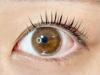 エイト 渋谷本店(eight)/ラッシュリフト