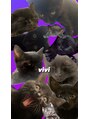 アートネイル ギャラリー(Art nail Gallery) 最近縁があり、保護猫を引き取りました！犬3猫1ベビ1生活♪笑