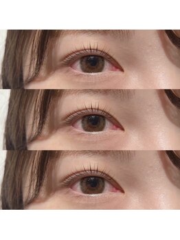 ビオラス(Biolus)/似合わせまつげパーマ☆